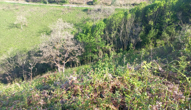 Maison de Village  7 pièces  à vendre Lohitzun-Oyhercq 64120