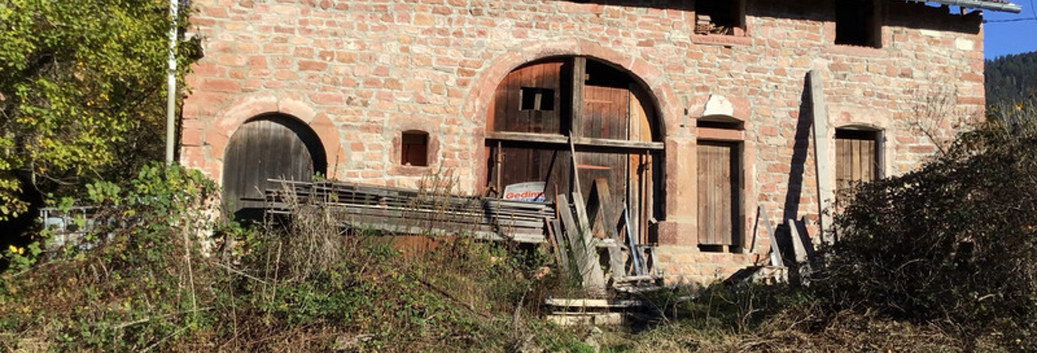 Maison 7 Pièces 168 m² à vendre à Taintrux (88100)