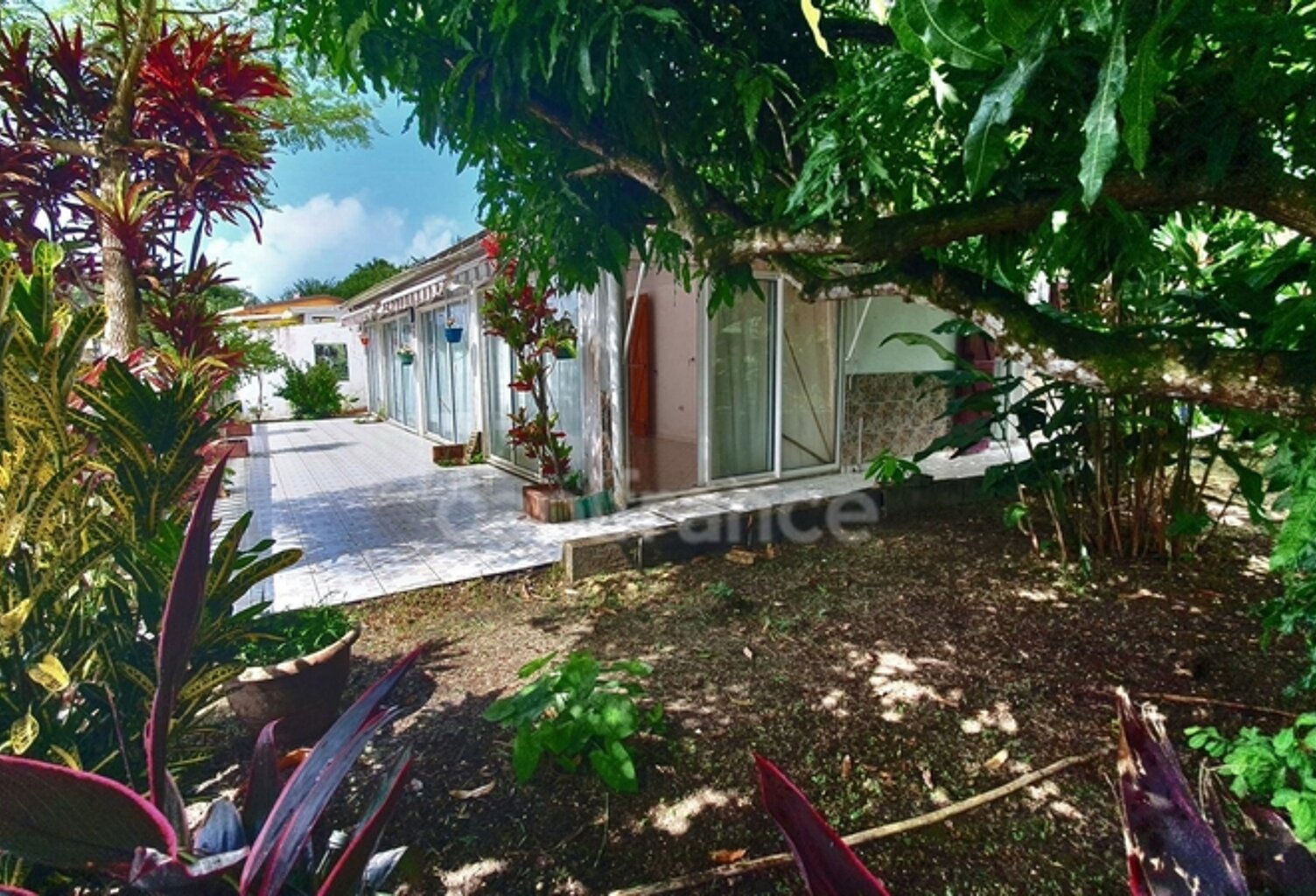 A VENDRE Maison de plain pied 5 pièces avec garage et dépendances LE DIAMANT 97223 — photo 1
