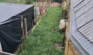 Appartement 3 Pièces 64 m² à vendre à Luché-Pringé (72800)