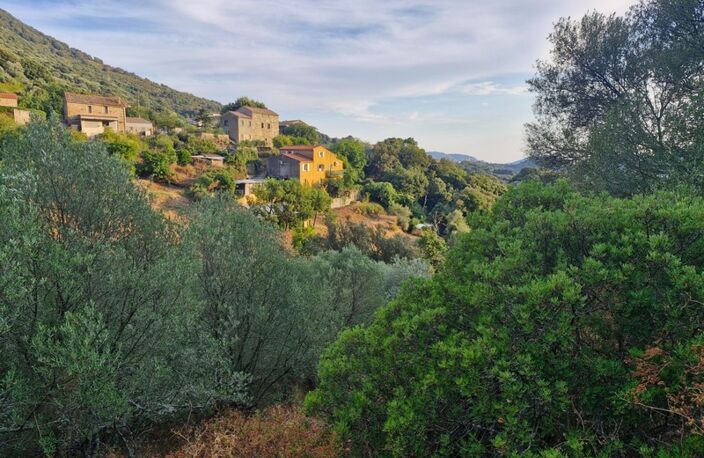 Propriano-Corse du Sud Maison 9 pièces de 170 m2 — photo 5