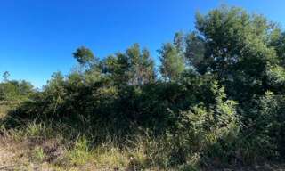 Terrain  1366 m² à vendre à La Possession (97419)