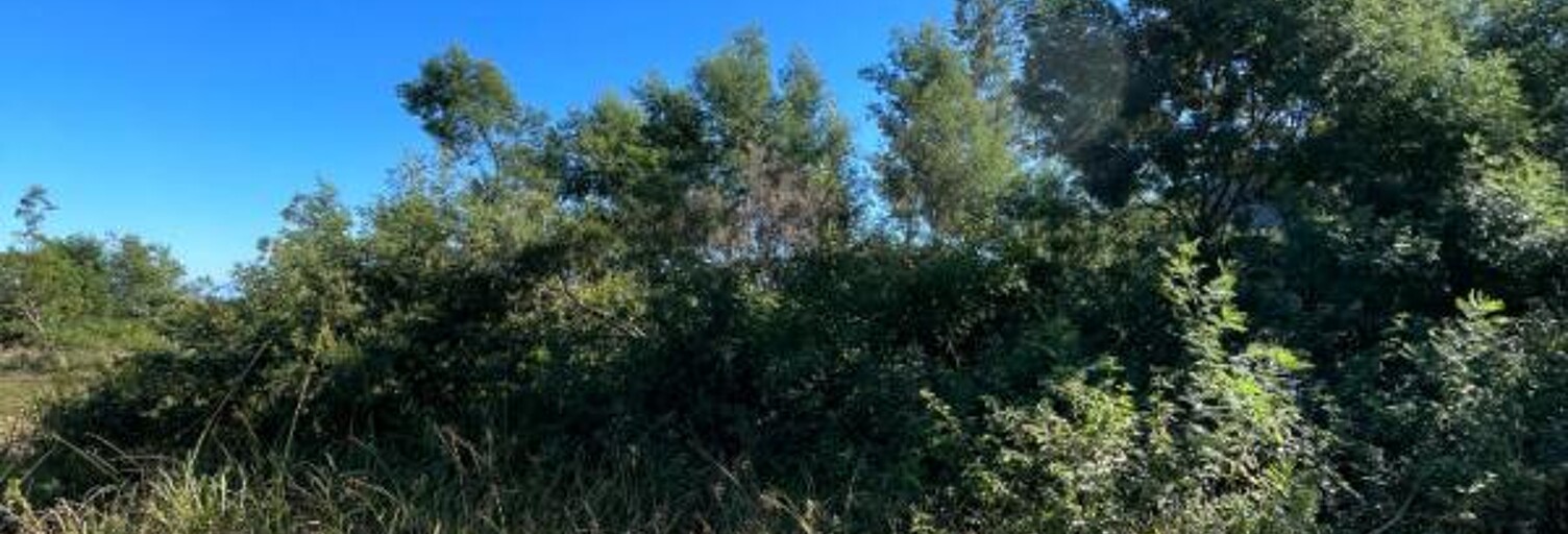 Terrain  1366 m² à vendre à La Possession (97419)