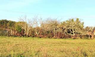 Terrain  1077 m² à vendre à Saint-Martin-d'Ary (17270)