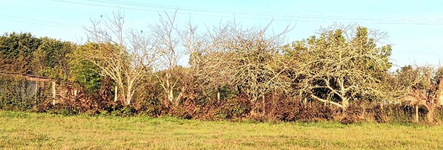 Terrain  1077 m² à vendre à Saint-Martin-d'Ary (17270)