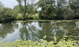 Maison  46 m² à vendre à Maxey-sur-Meuse (88630)