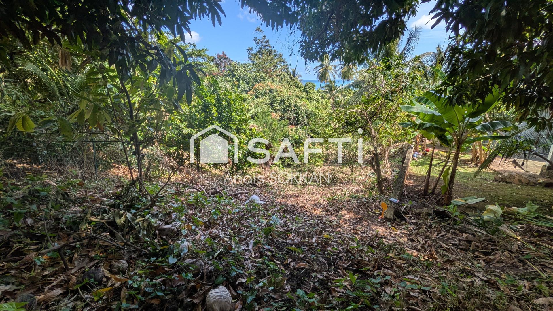 Agence immobilière de SAFTI