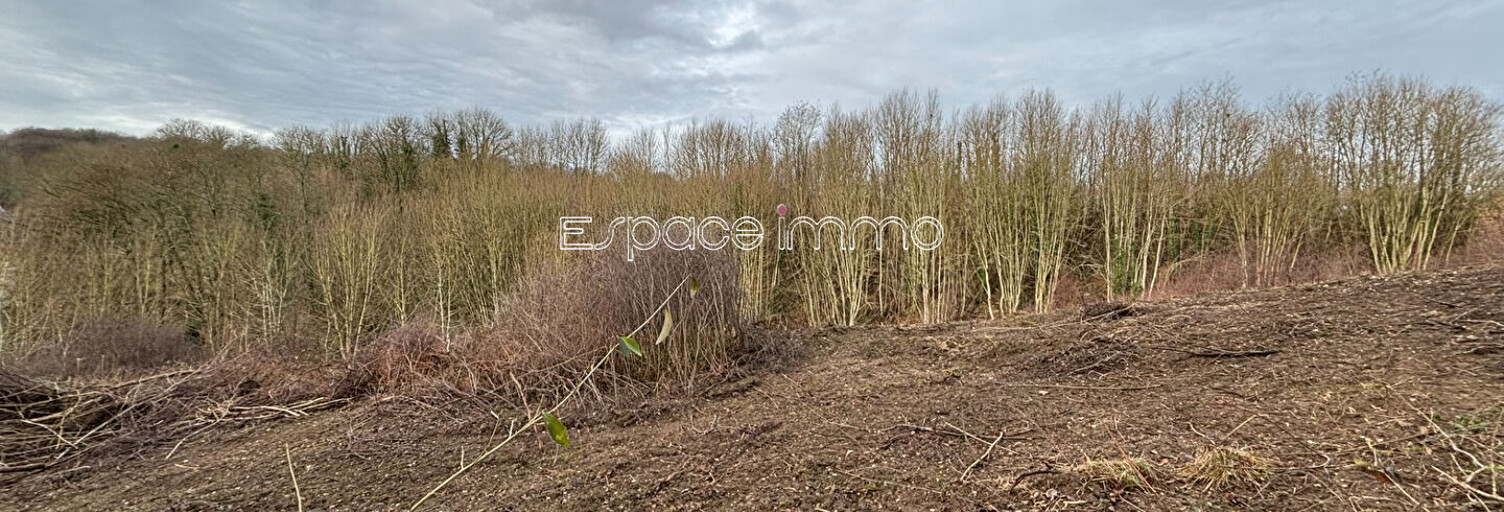 Terrain  6964 m² à vendre à Clères (76690)