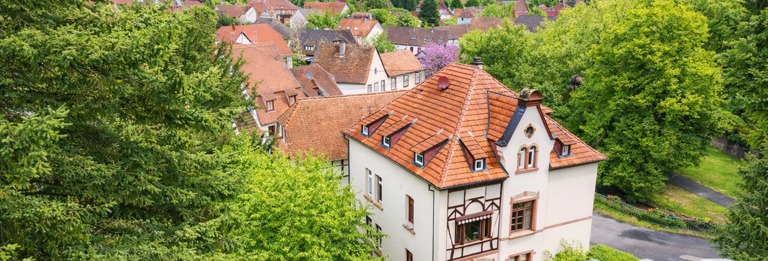 Maison 11 Pièces 307 m² à vendre à Wissembourg (67160)