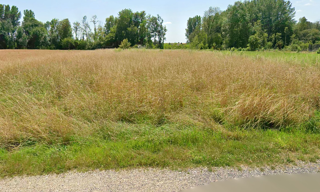 Terrain  2610 m² à vendre à Courtisols (51460)