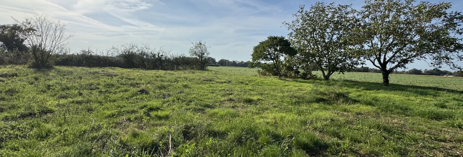Terrain  1500 m² à vendre à Chouzé-sur-Loire (37140)