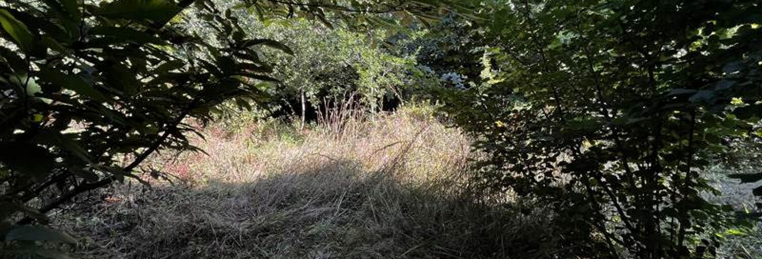 Terrain  610 m² à vendre à Lanvénégen (56320)