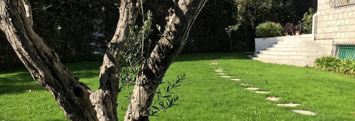 Maison 9 Pièces 318 m² à louer à Mougins (06250)