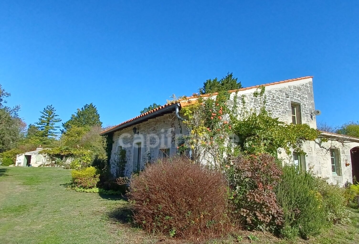 Dpt Charente Maritime (17), à vendre BORDS  2 maisons — photo 1