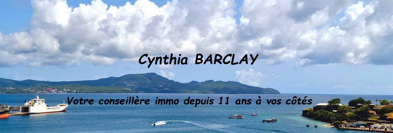 Appartement 4 Pièces 96 m² à vendre à Fort-de-France (97200)