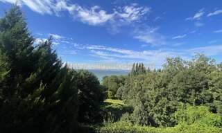 Maison 430 m² en viager Cricquebœuf (14113)