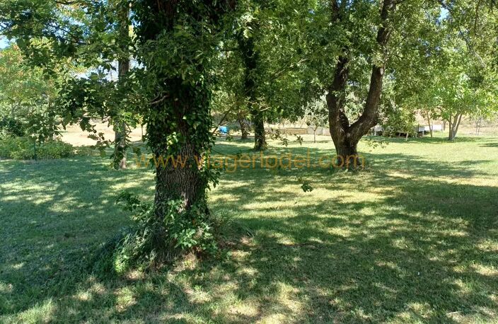 Réf. 9857 - VIAGER OCCUPE - PERNES-LES-FONTAINES (84) — photo 2