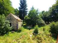 Moulin — photo 3