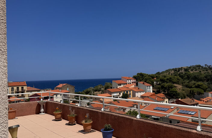 PORT-VENDRES SUPERBE APPARTEMENT AVEC IMMENSE TERRASSE ET SUPERBE VUE SUR LE PORT — photo 3