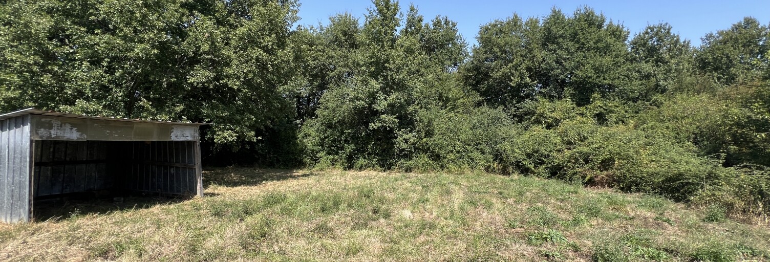 Terrain  1008 m² à vendre à Targon (33760)