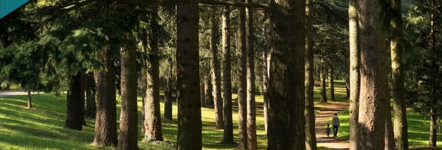 Appartement 4 Pièces 70 m² à vendre à Lyon 8 (69008)