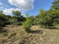 Dpt Hautes Pyrénées (65), à vendre LALANNE Maison à ossature bois inachevée T2 de 70 m² habitables sur 1756 m² de terrain, au calme — photo 3