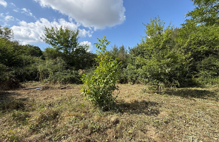 Dpt Hautes Pyrénées (65), à vendre LALANNE Maison à ossature bois inachevée T2 de 70 m² habitables sur 1756 m² de terrain, au calme — photo 3