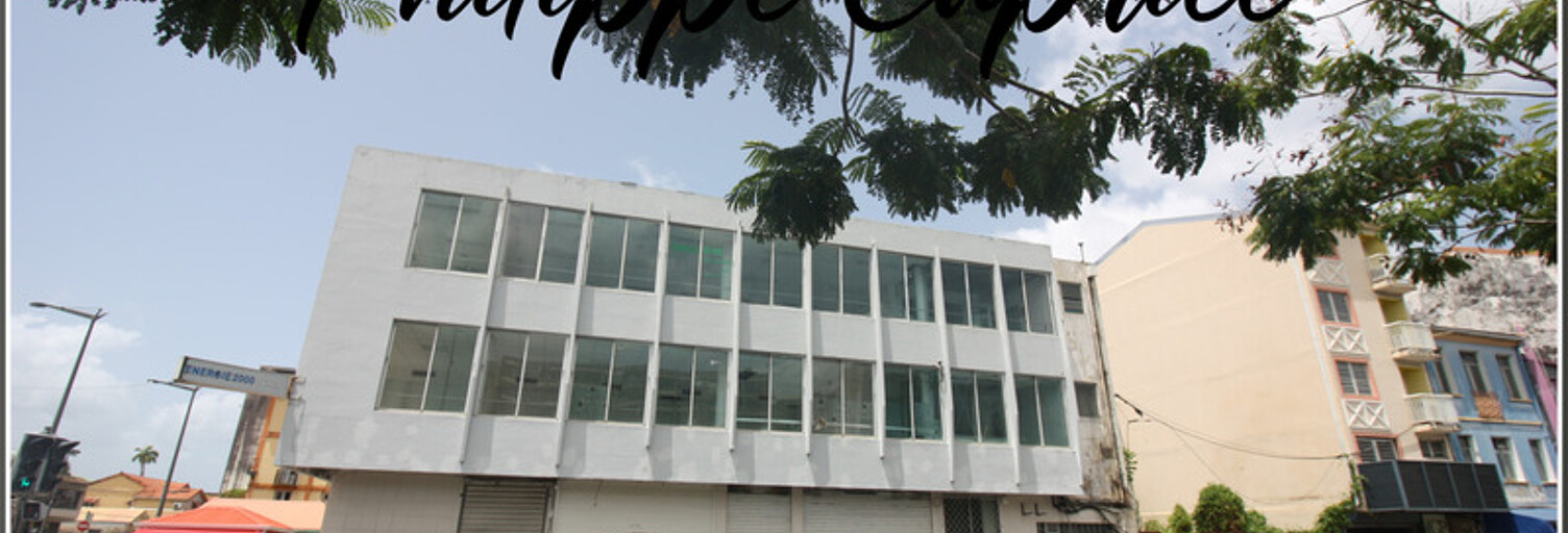 Immeuble  345 m² à vendre à Fort-de-France (97200)