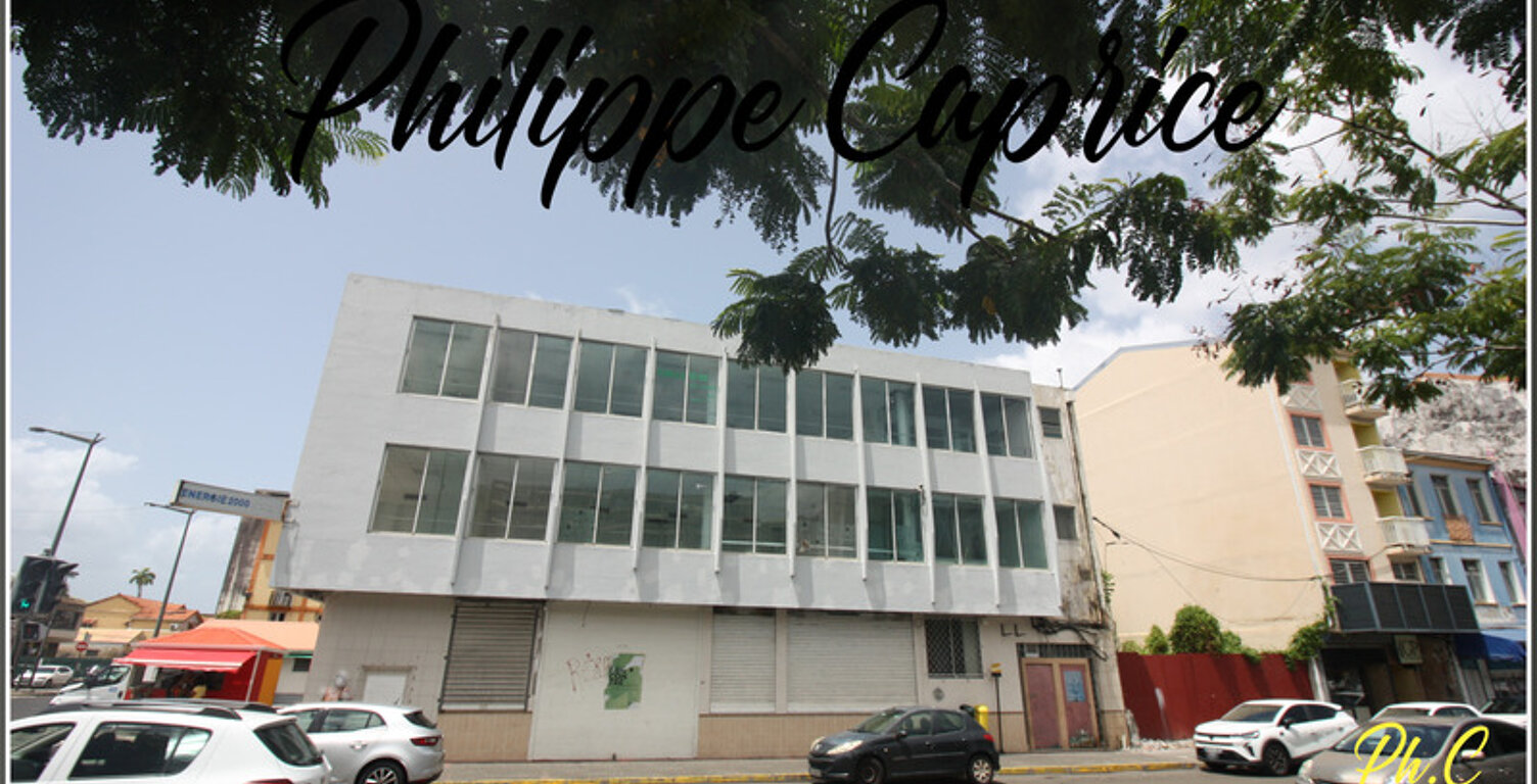 Immeuble Professionnel 308 M² à vendre FORT DE FRANCE — photo 1