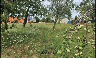 Terrain  1300 m² à vendre à Baugé-en-Anjou (49150)