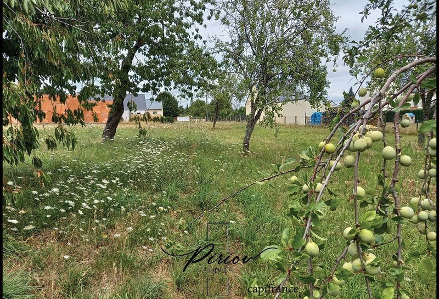 Proche du coeur de ville Baugé - 1300 m² de terrain partiellement arboré — photo 1