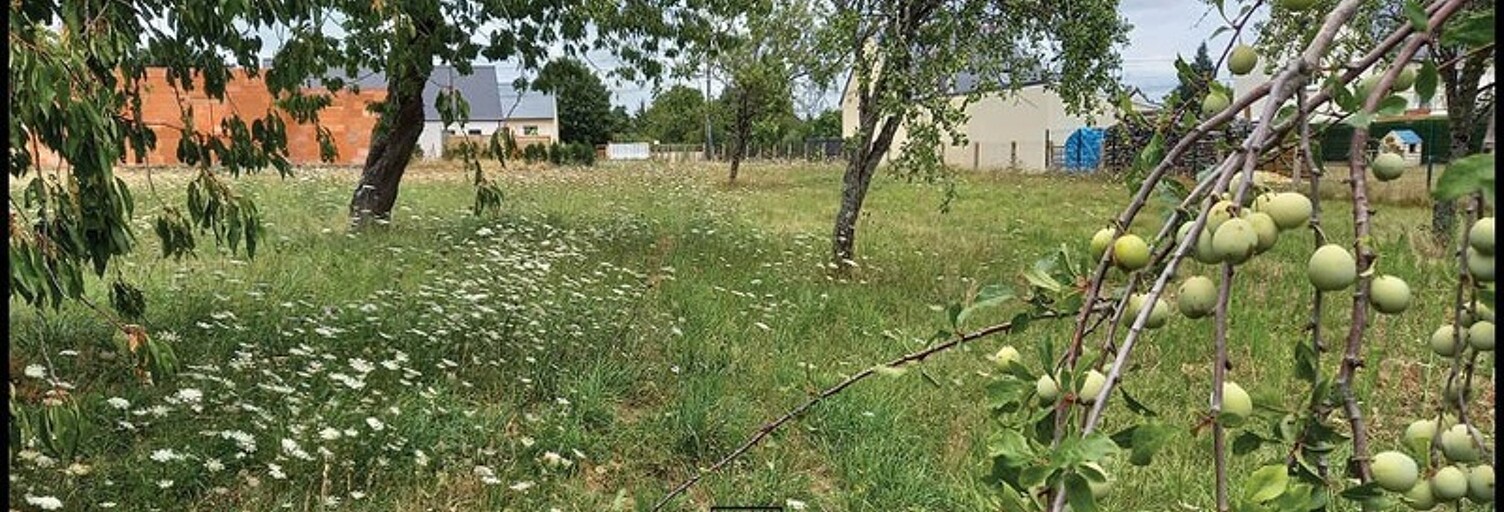 Terrain  1300 m² à vendre à Baugé-en-Anjou (49150)