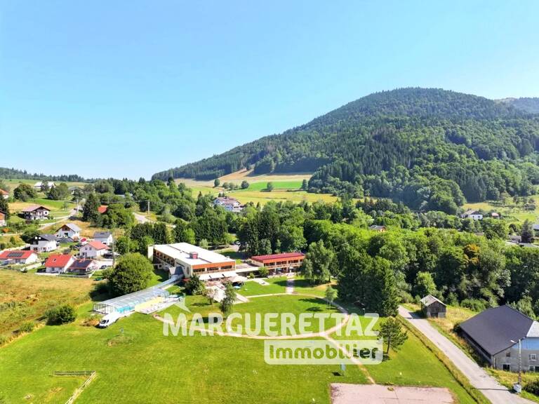 PROCHE GENÈVE - AU COEUR DES ALPES DU LÉMAN - OPPORTUNITÉ D'INVE — photo 1