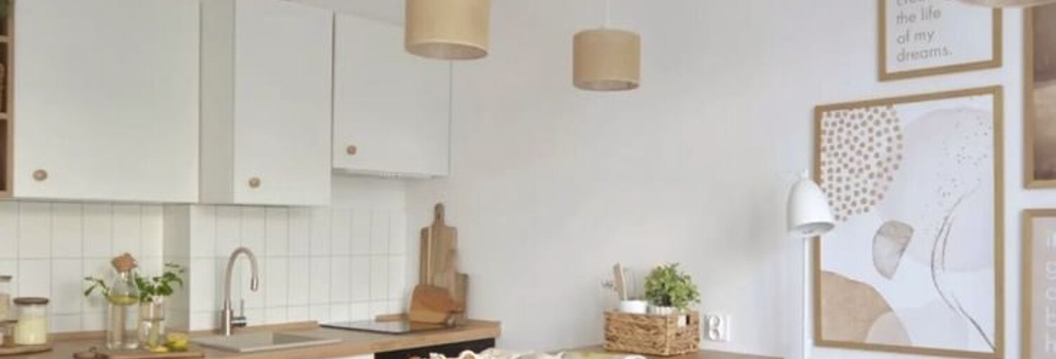 Appartement 1 Pièce 19 m² à vendre à Schiltigheim (67300)