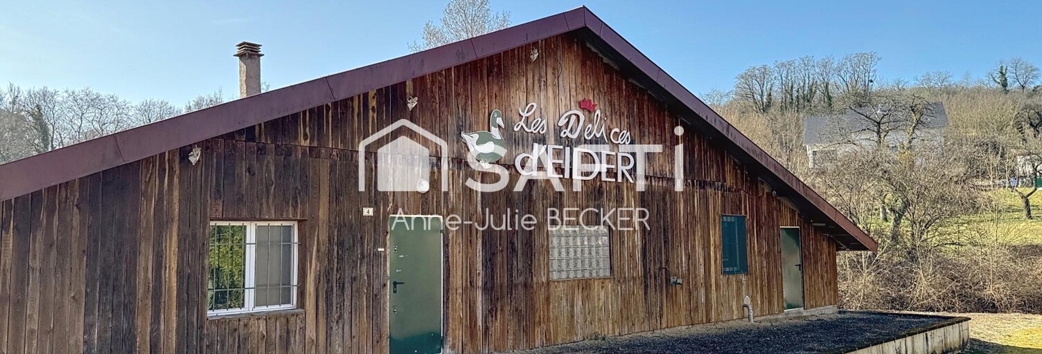 Immeuble  700 m² à vendre à Obergailbach (57720)