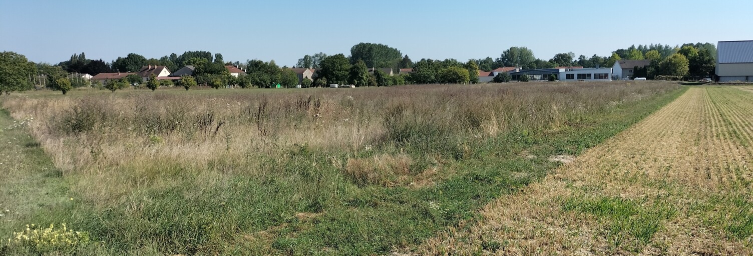 Terrain  11340 m² à vendre à Courtisols (51460)