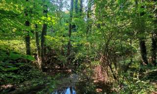 Maison 10 Pièces 348 m² à vendre à Festigny (51700)