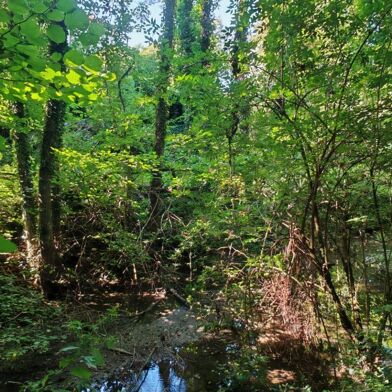 Maison 10 pièces 315000 €