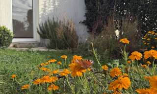 Maison 4 Pièces 101 m² à vendre à Benon (17170)