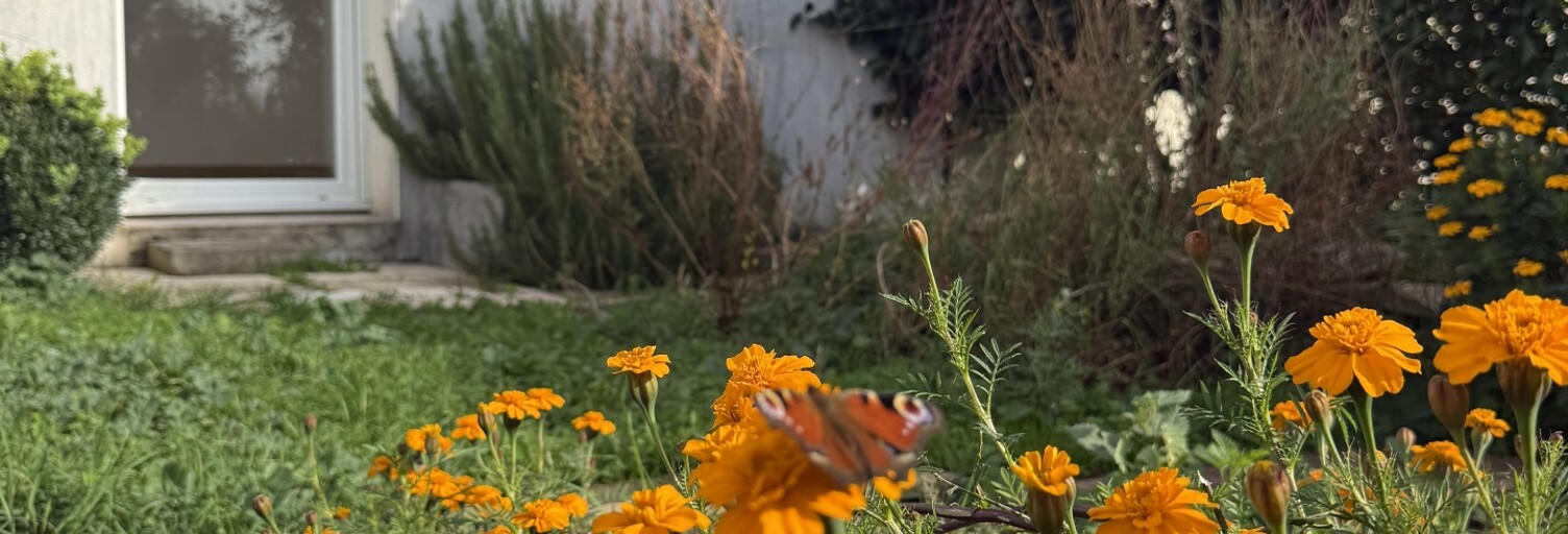 Maison 4 Pièces 101 m² à vendre à Benon (17170)