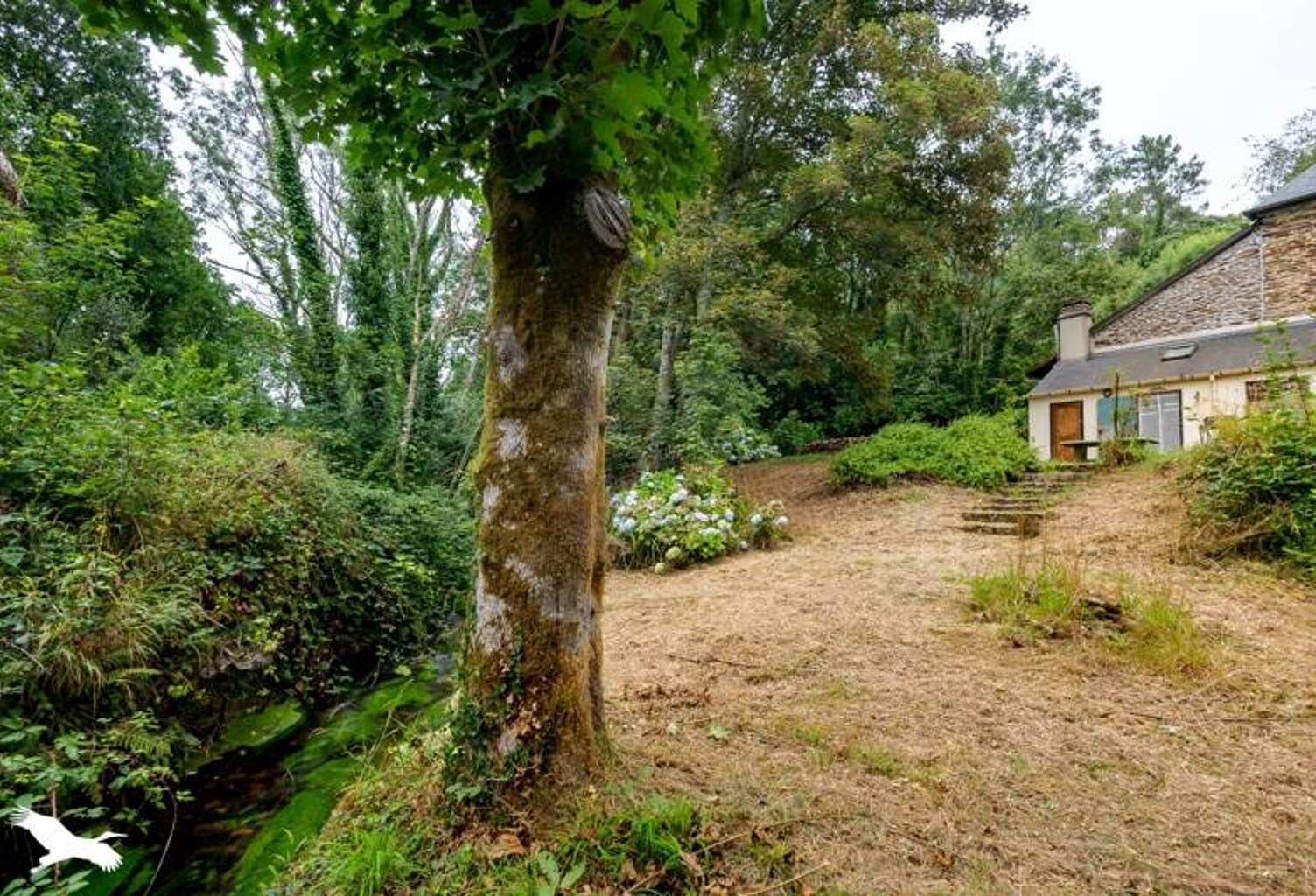 Moulin de 4 pièces principales — photo 1