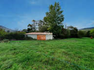 Hangard sur parcelle agricole — photo 3