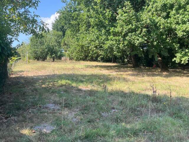 Terrain À Vendre — photo du bien