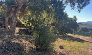 Terrain  1200 m² à vendre à Vidauban (83550)