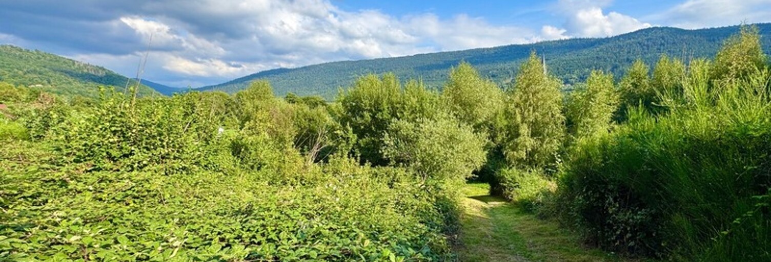 Terrain  936 m² à vendre à Saulxures-sur-Moselotte (88290)