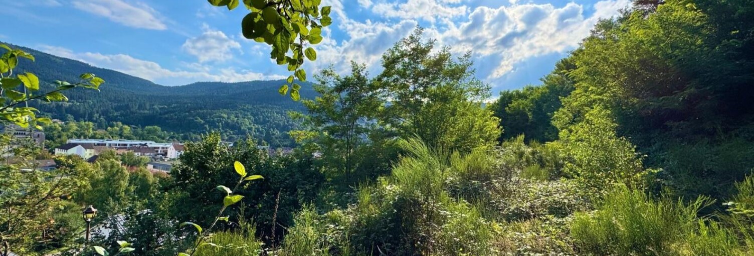 Terrain  1347 m² à vendre à Saulxures-sur-Moselotte (88290)