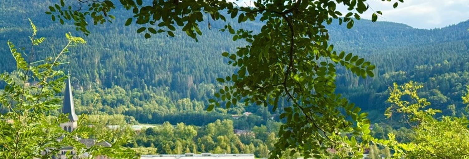 Terrain  1785 m² à vendre à Saulxures-sur-Moselotte (88290)