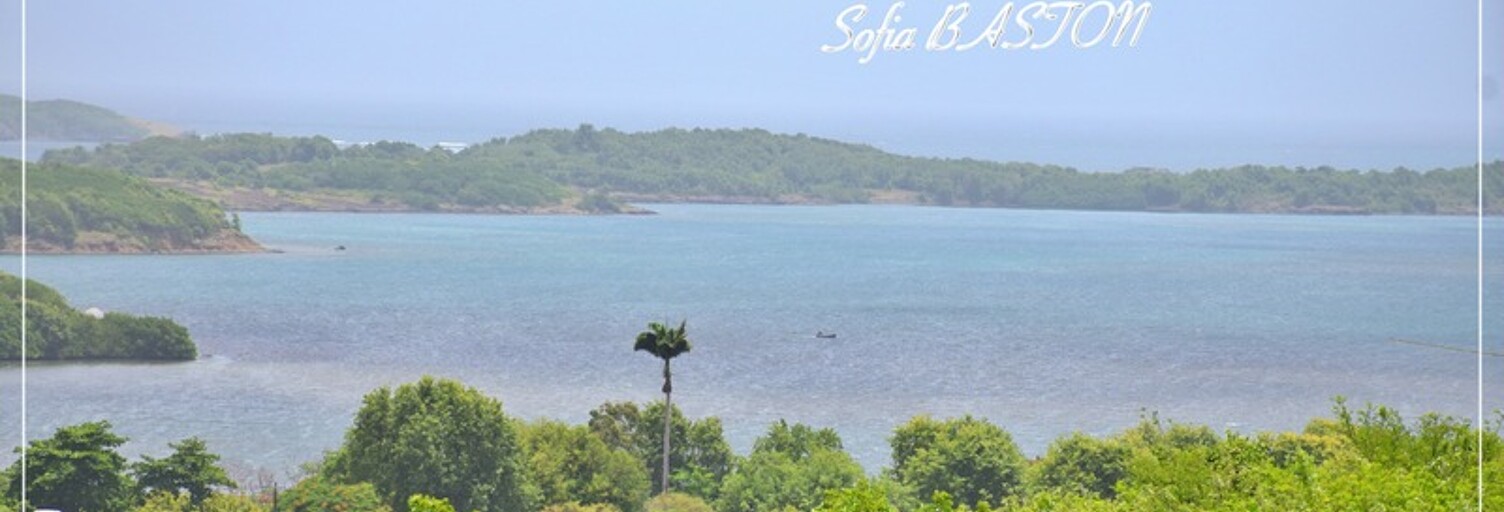 Maison 8 Pièces 192 m² à vendre à Le François (97240)