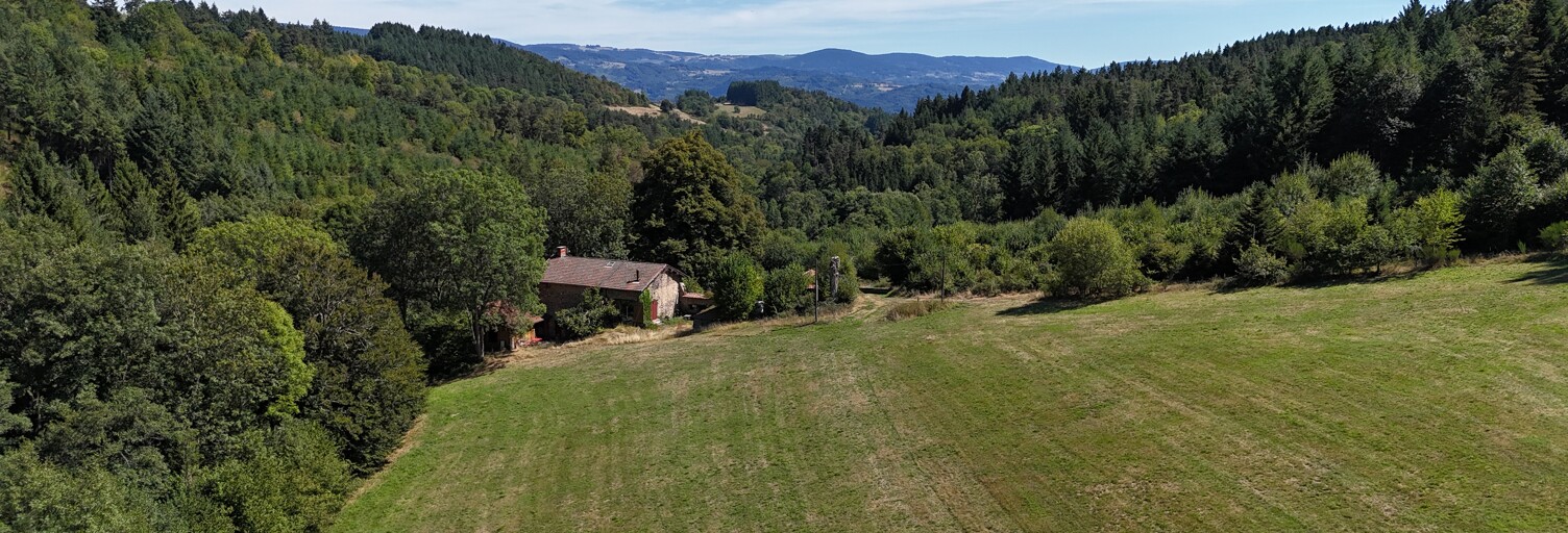 Maison 11 Pièces 367 m² à vendre à Ambert (63600)