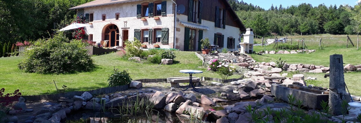 Maison 8 Pièces 198 m² à vendre à La Chapelle-devant-Bruyères (88600)